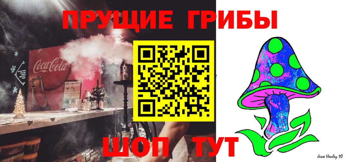 Псилоцибиновые грибы Cubensis Кольчугино