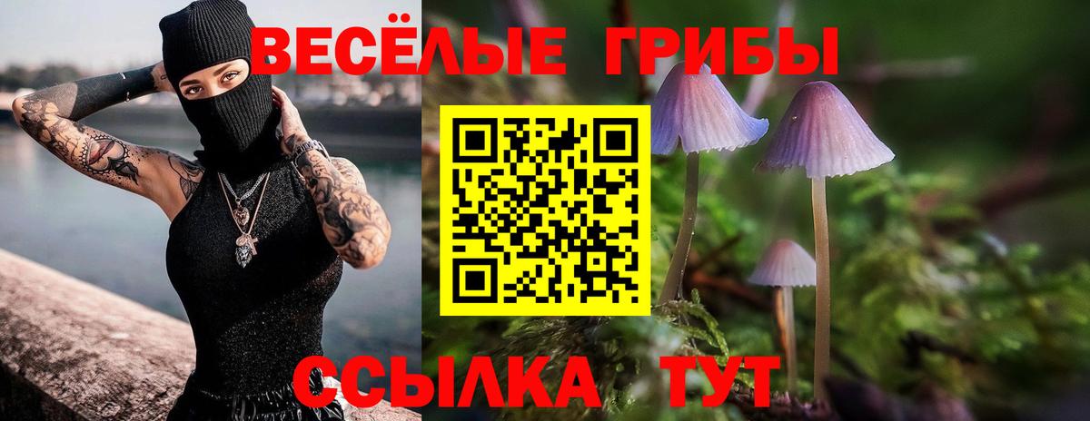 Кольчугино  Псилоцибиновые грибы ЛСД  Вход с VPN 